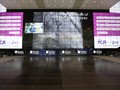 AsiaPCR / SingLIVE 2017 Image 3